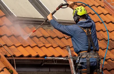Démoussage et hydrofuge de toiture à Tencin